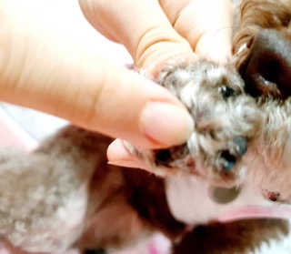 달콤오기님이 올린 리뷰 사진 4
