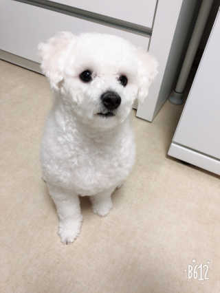 심쿵맘님이 올린 리뷰 사진 2