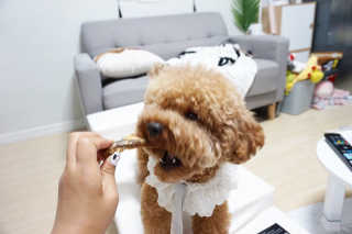 초코님이 올린 리뷰 사진 1