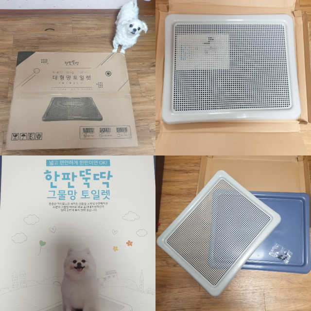 [펫토리아] 한판뚝딱 강아지 배변판 실속형,초대형 리뷰 사진