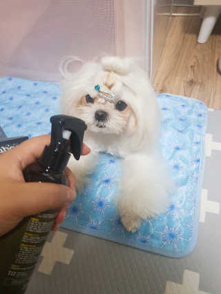 뚱이땅콩맘님이 올린 리뷰 사진 2