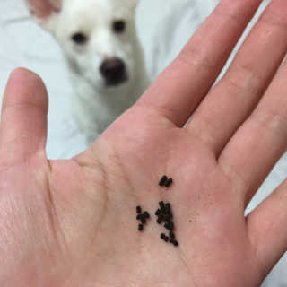 J님이 올린 리뷰 사진 3