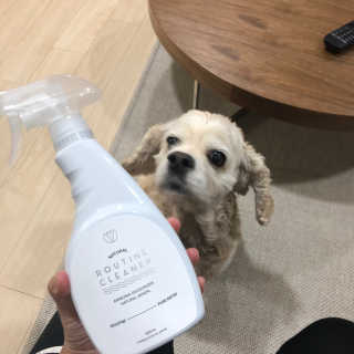 김담요님이 올린 리뷰 사진 1