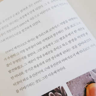 라플레 염창환 박사의 3세대 유산균, 인빅터스 프로 — 5점을 준 리뷰어가 2018년 11월 올린 사용 사진