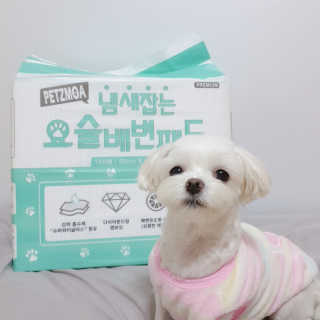 쫑시래기님이 올린 리뷰 사진 2