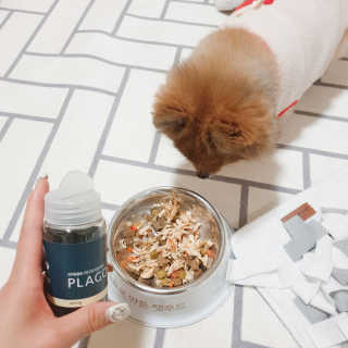 은선이짱님이 올린 리뷰 사진 2