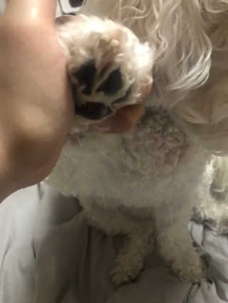 갱스님이 올린 리뷰 사진 4