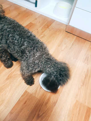 MIRU님이 올린 리뷰 사진 3