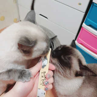 은디님이 올린 리뷰 사진 3