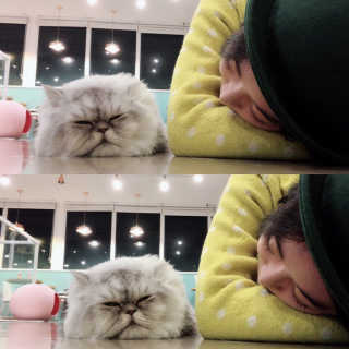 uniquerose님이 올린 리뷰 사진 1