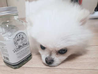 고우리님이 올린 리뷰 사진 2