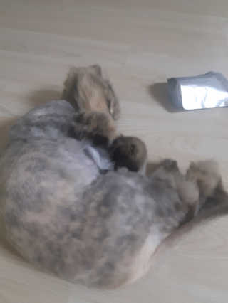 하스님이 올린 리뷰 사진 1