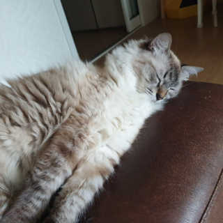 혜빈스님이 올린 리뷰 사진 4