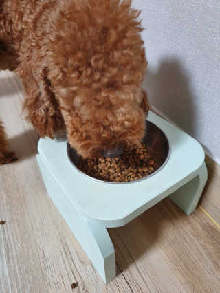펫토리아 한끼뚝딱 클래식 국산 건식사료 — 5점을 준 리뷰어가 2019년 7월 올린 사용 사진