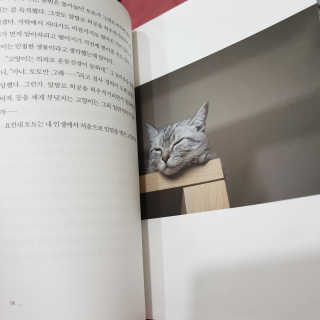 꽁이공쥬님이 올린 리뷰 사진 2
