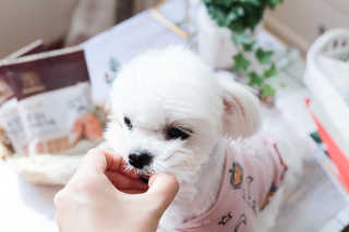 윤모디님이 올린 리뷰 사진 3