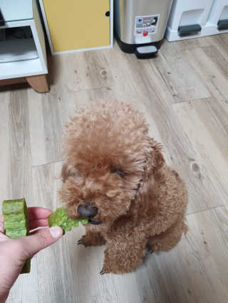 미니이님이 올린 리뷰 사진 3