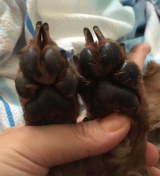 쥬비몬님이 올린 리뷰 사진 2