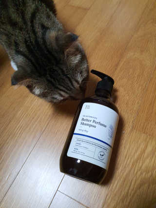 달리프 베러 퍼퓸 샴푸 1000ml 레이니데이 or 일랑로즈 — 4점을 준 리뷰어가 2020년 2월 올린 사용 사진