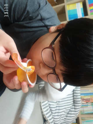 데르뜨 떠먹는 과일 3종, 짜먹는 과일 2종 총 10개 체험 — 5점을 준 리뷰어가 2020년 3월 올린 사용 사진