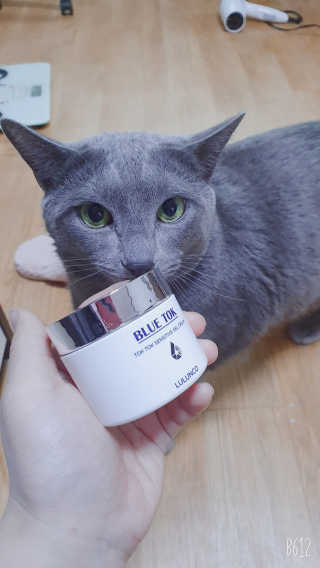 뢈님이 올린 리뷰 사진 3