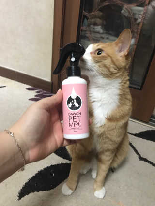 하린님이 올린 리뷰 사진 2
