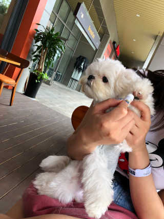 아룽님이 올린 리뷰 사진 1