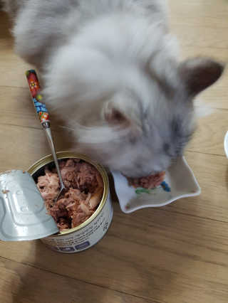 민댕댕이님이 올린 리뷰 사진 2