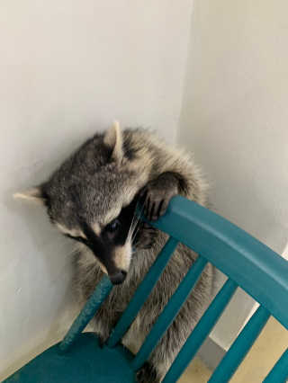 니니님이 올린 리뷰 사진 3