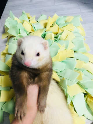 이소현님이 올린 리뷰 사진 1
