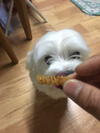 으니콩님이 올린 리뷰 사진 3