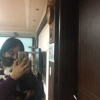 다니당근님이 올린 리뷰 사진 2