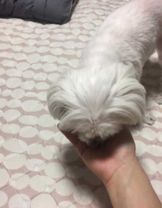 지녕지녕님이 올린 리뷰 사진 1