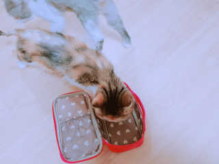 엘카몬님이 올린 리뷰 사진 4