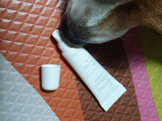 beaglelove님이 올린 리뷰 사진 3