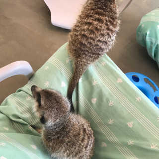 얌님이 올린 리뷰 사진 2