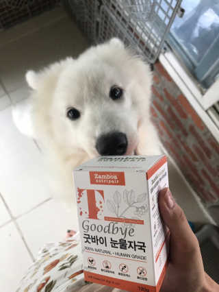잠보아 뉴트리페어 굿바이 티어스테인 — 5점을 준 리뷰어가 2019년 8월 올린 사용 사진