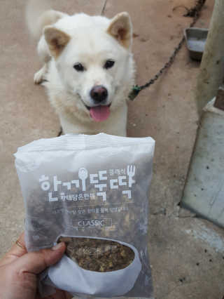 차차롭다님이 올린 리뷰 사진 3
