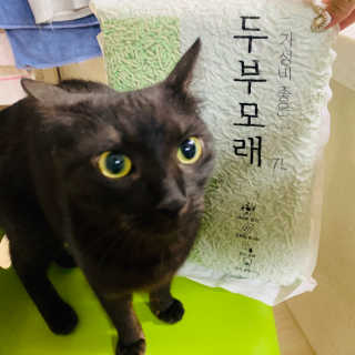 한비님이 올린 리뷰 사진 1