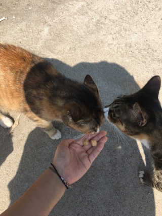 bean님이 올린 리뷰 사진 1
