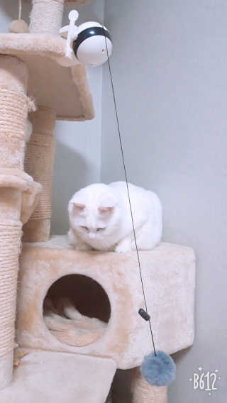 몽몽실님이 올린 리뷰 사진 3