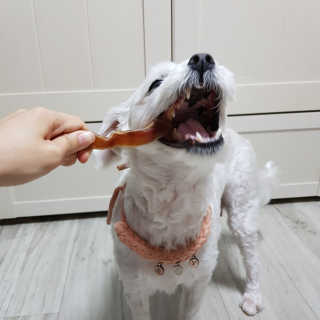 당근말랭이님이 올린 리뷰 사진 3