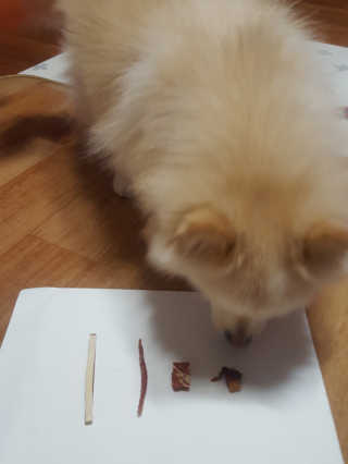 [펫토리아] 뚝딱뚝딱 400g 강아지 간식 베스트5종 — 5점을 준 리뷰어가 2019년 1월 올린 사용 사진