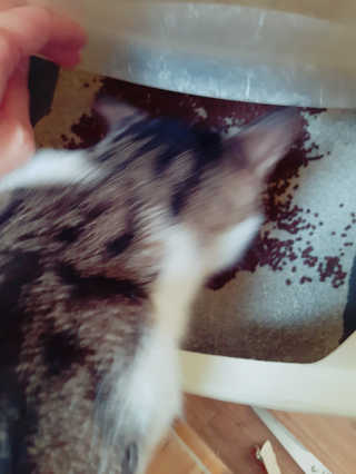 팅커벨님이 올린 리뷰 사진 3