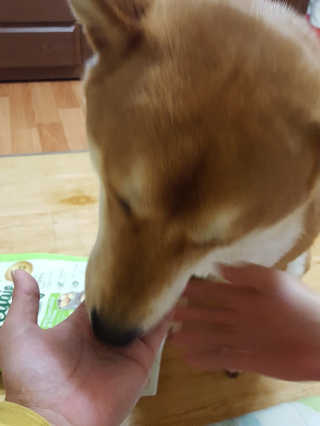 컴백08리터님이 올린 리뷰 사진 3