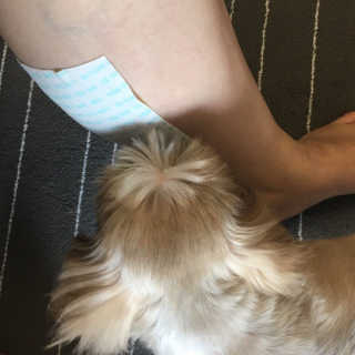 향이님이 올린 리뷰 사진 4