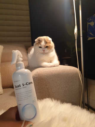 망나니집사님이 올린 리뷰 사진 2