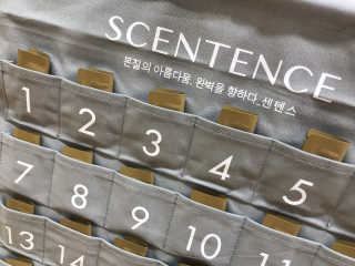 센텐스 캘린더 - 프로폴리스 앰플 30일 체험하기 — 5점을 준 리뷰어가 2019년 11월 올린 사용 사진