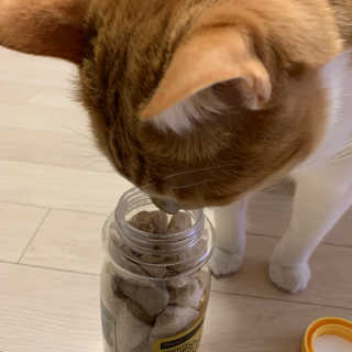 ollie님이 올린 리뷰 사진 3
