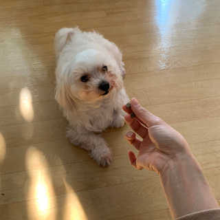 silvermoon님이 올린 리뷰 사진 3